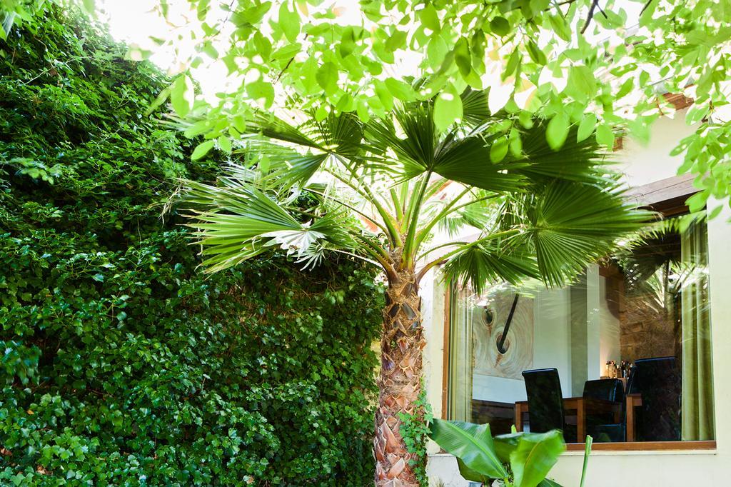 Posada Sotobosque Santander Exterior foto